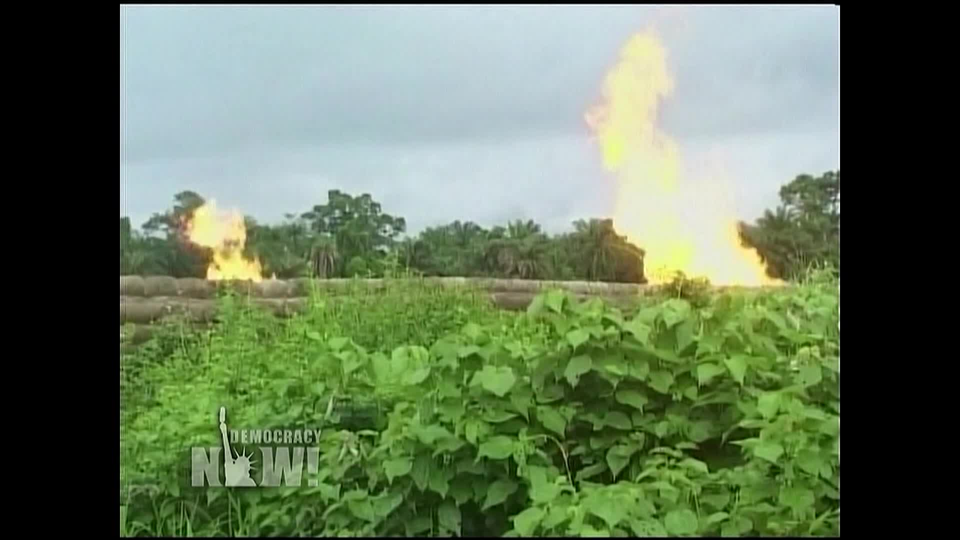 Democracy Now, New Year's  Special Edition