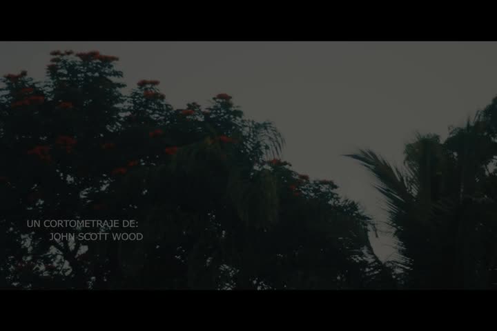 Strata - January 2024